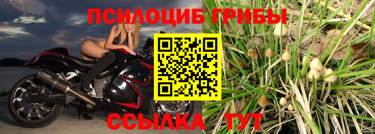 Галлюциногенные грибы ЛСД Лесосибирск